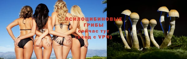 мяу мяу мука Липки