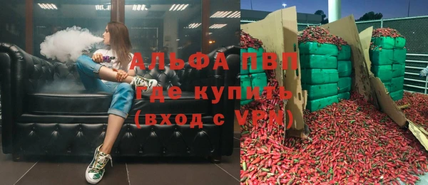 крисы Братск