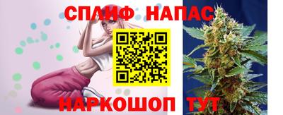 гашик Гагарин