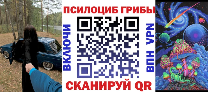 наркотики Заречный Псилоцибиновые грибы прущие грибы